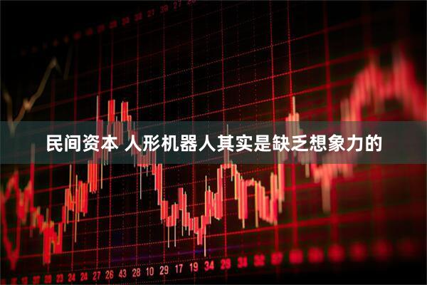 民间资本 人形机器人其实是缺乏想象力的