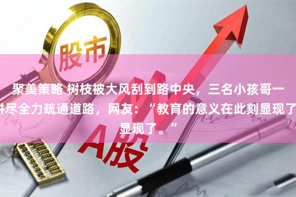 聚美策略 树枝被大风刮到路中央，三名小孩哥一起拼尽全力疏通道路，网友：“教育的意义在此刻显现了。”