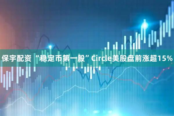 保宇配资 “稳定币第一股”Circle美股盘前涨超15%