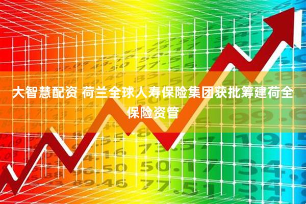 大智慧配资 荷兰全球人寿保险集团获批筹建荷全保险资管