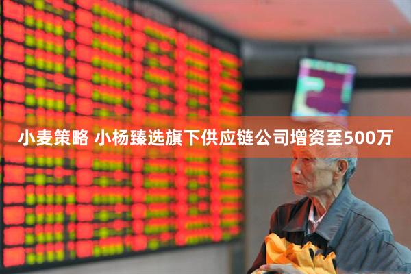 小麦策略 小杨臻选旗下供应链公司增资至500万