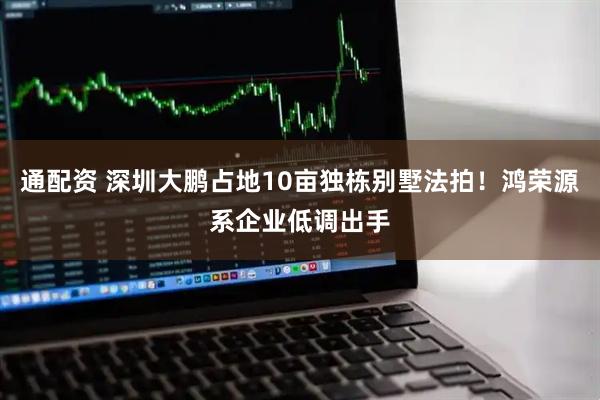 通配资 深圳大鹏占地10亩独栋别墅法拍！鸿荣源系企业低调出手
