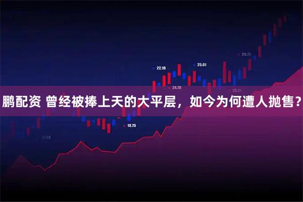 鹏配资 曾经被捧上天的大平层，如今为何遭人抛售？